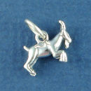 Astrology Zodiac Sign Charm Capricorn 3D Sterling Silver Charm Pendant