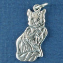 Cat Setting Sterling Silver Charm Pendant