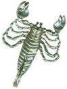 Astrology Zodiac Sign Charm Scorpio 3D Sterling Silver Charm Pendant