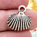 Shell Charm in Antique Silver Pewter