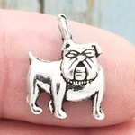Bulldog Charms Wholesale Silver Pewter Small