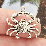 Detailed Crab Charm in Antique Silver Pewter