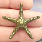 Bronze Starfish Pendant in Antique Pewter Medium