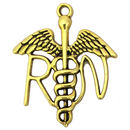 RN Caduceus Charms Bulk in Gold Pewter